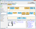 Agelong Tree screenshot