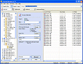 Flexible Renamer screenshot