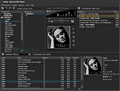 Nemp screenshot