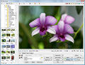 Photoscape screenshot