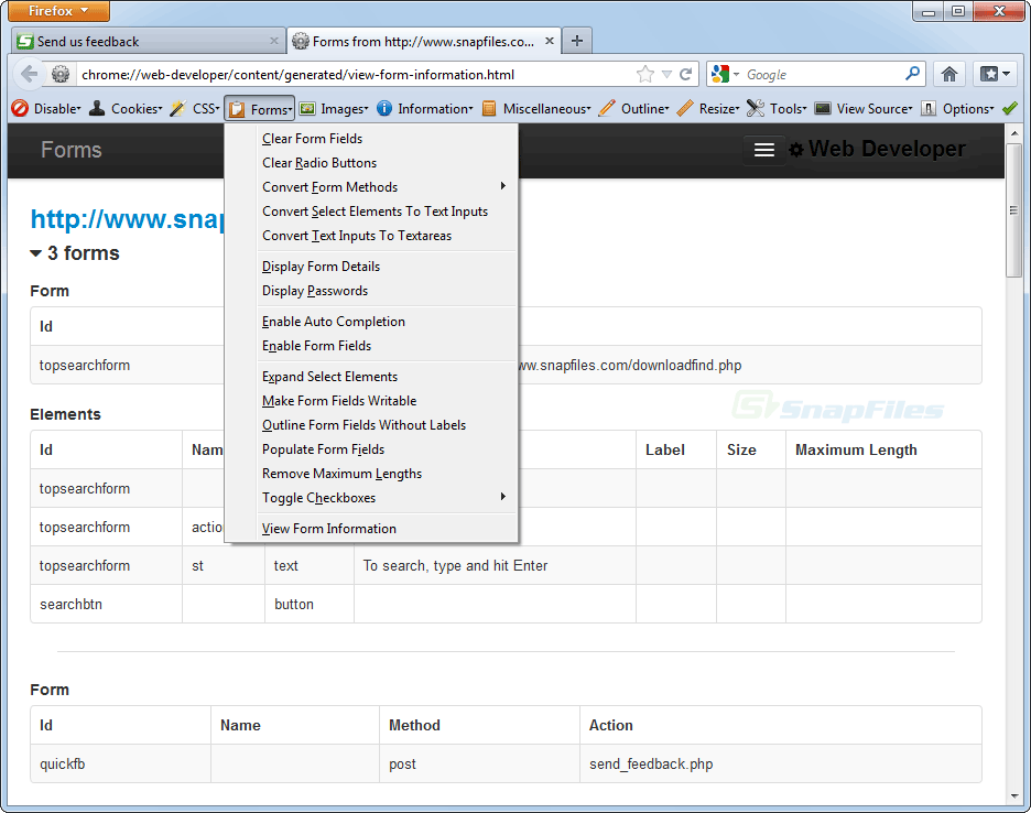 screenshot of Web Developer Extension